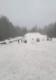 Mount Seymour Provincial Park