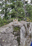 Mount Seymour Provincial Park