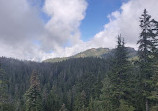 Mount Seymour Provincial Park