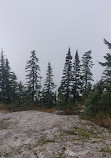 Mount Seymour Provincial Park