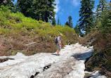 Mount Seymour Provincial Park