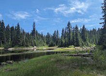 Mount Seymour Provincial Park