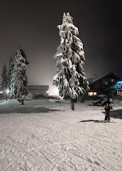 Mount Seymour Provincial Park