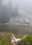 Mount Seymour Provincial Park