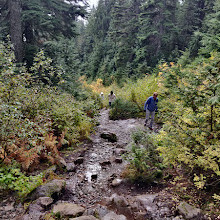 Mount Seymour Provincial Park