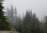 Mount Seymour Provincial Park