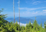 Bowen Lookout