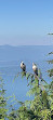 Bowen Lookout