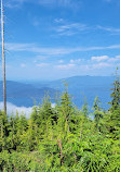 Bowen Lookout