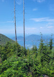 Bowen Lookout