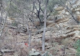 Barton Creek Green Belt Trailhead