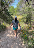 Barton Creek Green Belt Trailhead