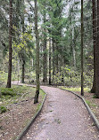 Kivinokka Nature Trail