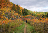 Hockley Valley Provincial Nature Reserve