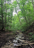 Hockley Valley Provincial Nature Reserve