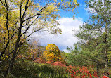 Hockley Valley Provincial Nature Reserve