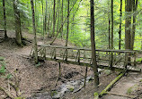 Hockley Valley Provincial Nature Reserve