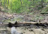 Hockley Valley Provincial Nature Reserve