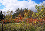 Hockley Valley Provincial Nature Reserve