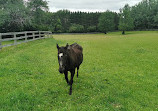 Hockley Valley Provincial Nature Reserve