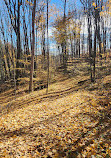 Hockley Valley Provincial Nature Reserve