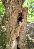 Mono Cliffs Hiking Trail