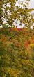 Mono Cliffs Hiking Trail