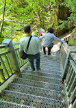 Mono Cliffs Hiking Trail