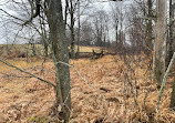 Mono Cliffs Hiking Trail