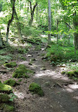 Mono Cliffs Hiking Trail