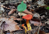 Mono Cliffs Hiking Trail