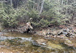 Mono Cliffs Hiking Trail