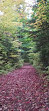 Mono Cliffs Hiking Trail