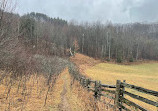 Mono Cliffs Hiking Trail