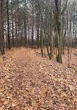 Mono Cliffs Hiking Trail