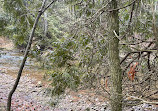 Mono Cliffs Hiking Trail