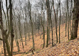 Mono Cliffs Hiking Trail