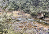 Mono Cliffs Hiking Trail