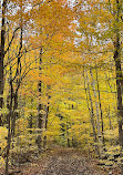 Mono Cliffs Hiking Trail