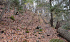 Bruce trail parking