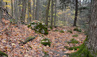 Bruce trail parking