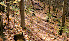 Bruce trail parking