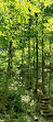 Bruce trail parking