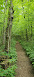 Bruce trail parking