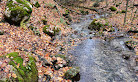 Bruce trail parking