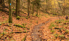 Bruce trail parking