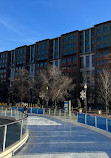 Canal Park Ice Rink