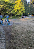 Stanley Park Playground