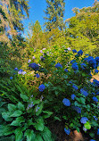 Stanley Park Nature House on Lost Lagoon