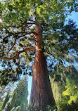 Stanley Park Nature House on Lost Lagoon